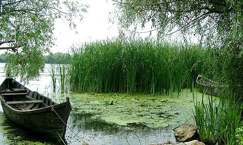 nice things  - natura.jpg